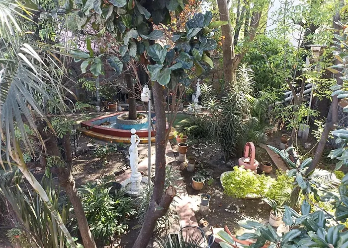Apartment Citlalli